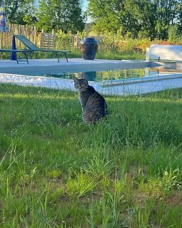 Casa de Férias A L'oree Des Vignes