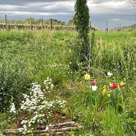 A L'oree Des Vignes Holiday home *