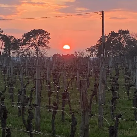 A L'oree Des Vignes Holiday home