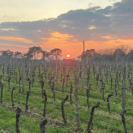 A L'oree Des Vignes Semesterbostad *
