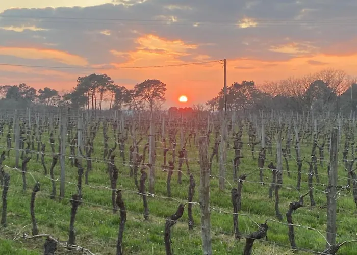 A L'oree Des Vignes *