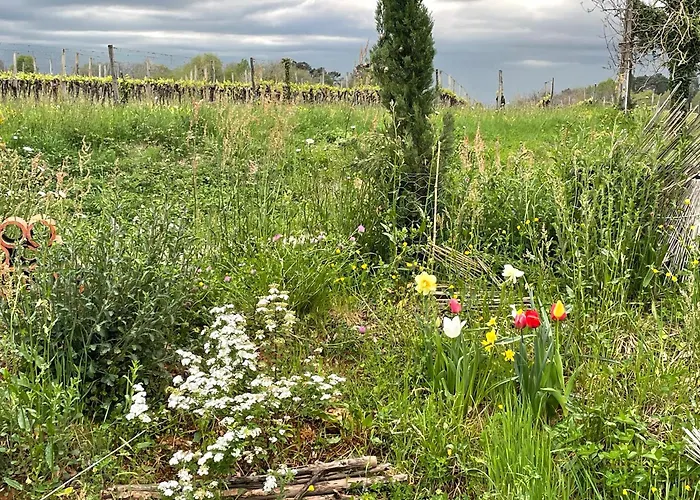 A L'oree Des Vignes 度假居 *