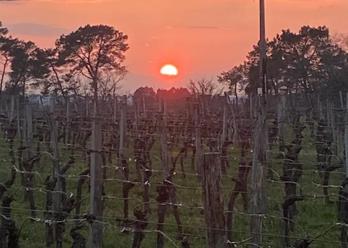 A L'oree Des Vignes بيت للعطل